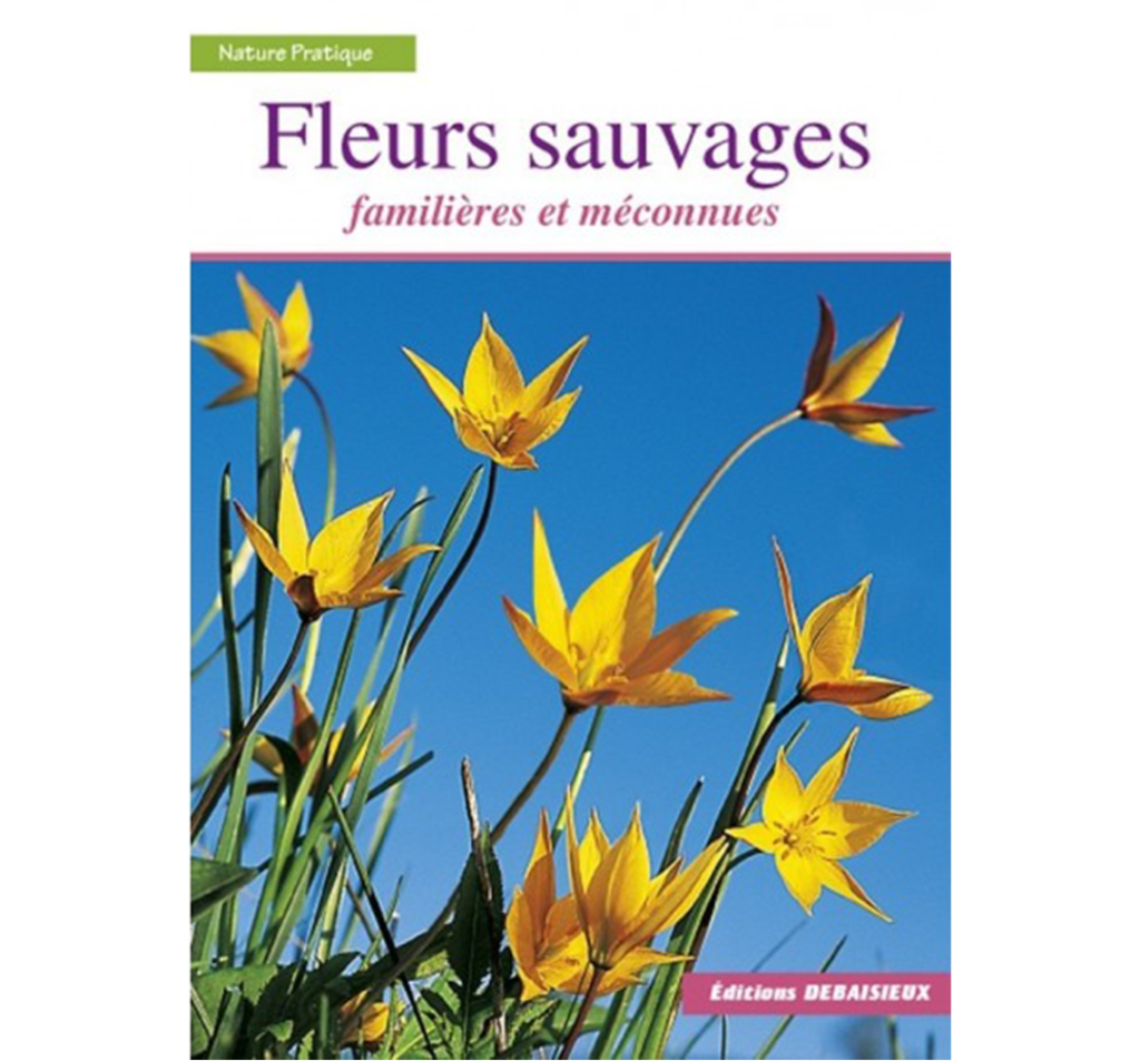 Lot De 4 Volumes 'Fleurs Sauvages Familières' Par F. Edward Hulme - Édition Originale 1890
